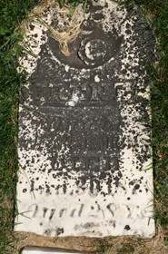 JENKINS, IRENE - Cedar County, Iowa | IRENE JENKINS 