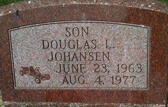 JOHANSEN, DOUGLAS L. - Cedar County, Iowa | DOUGLAS L. JOHANSEN 