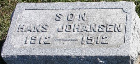 JOHANSEN, HANS - Cedar County, Iowa | HANS JOHANSEN 