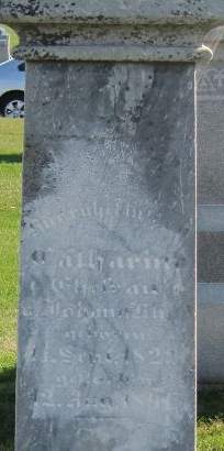 KLIPP, CATHARINA - Cedar County, Iowa | CATHARINA KLIPP 