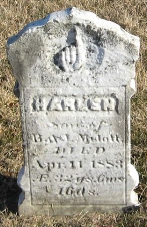 MELOTT, HARLEN - Cedar County, Iowa | HARLEN MELOTT 