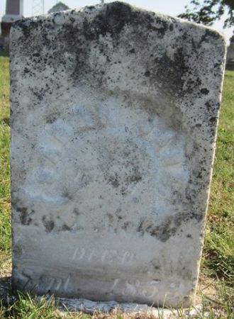 MELOTT, SARAH JANE - Cedar County, Iowa | SARAH JANE MELOTT 