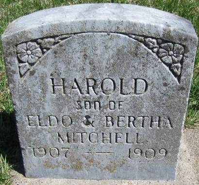 MITCHELL, HAROLD - Cedar County, Iowa | HAROLD MITCHELL 