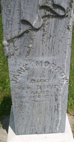 MORROW, JANE - Cedar County, Iowa | JANE MORROW 