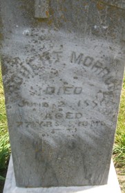 MORROW, ROBERT - Cedar County, Iowa | ROBERT MORROW 