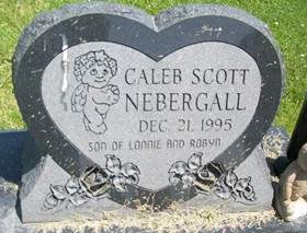 NEBERGALL, CALEB SCOTT - Cedar County, Iowa | CALEB SCOTT NEBERGALL 