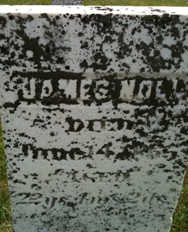 NOLL, JAMES - Cedar County, Iowa | JAMES NOLL 