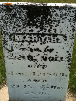 NOLL, MARY B. - Cedar County, Iowa | MARY B. NOLL 