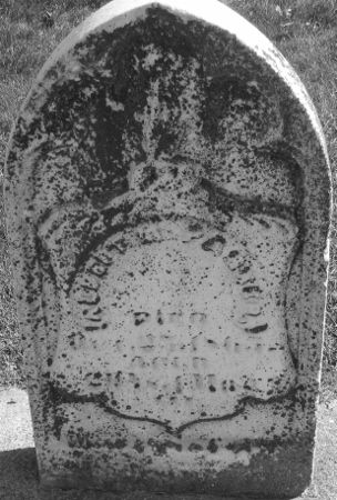 PARKER, ALBERT M. - Cedar County, Iowa | ALBERT M. PARKER 