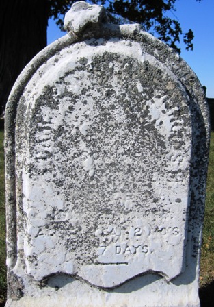 PETERSEN, CARL HENRY LORENCIUS - Cedar County, Iowa | CARL HENRY LORENCIUS PETERSEN 