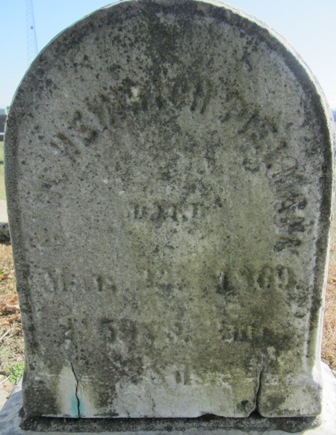 PIELMANN, CARL HEINRICH - Cedar County, Iowa | CARL HEINRICH PIELMANN 