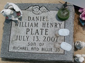 PLATE, DANIEL WILLIAM HENRY - Cedar County, Iowa | DANIEL WILLIAM HENRY PLATE 