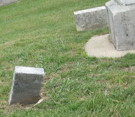 PORTEWIG, H. E. - Cedar County, Iowa | H. E. PORTEWIG 