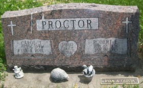 REIMERS PROCTOR, CAROL JOANNE - Cedar County, Iowa | CAROL JOANNE REIMERS PROCTOR 