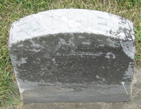 REINKINK, A. C. - Cedar County, Iowa | A. C. REINKINK 