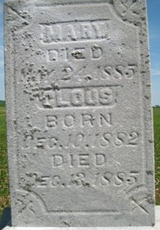 SCHWITZER, MARY - Cedar County, Iowa | MARY SCHWITZER 