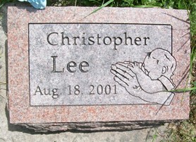 STRUCK, CHRISTOPHER LEE - Cedar County, Iowa | CHRISTOPHER LEE STRUCK 