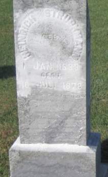 STRUCKMANN, HEINRICH - Cedar County, Iowa | HEINRICH STRUCKMANN 