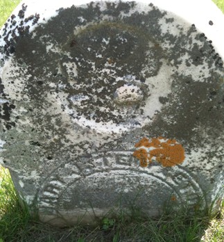 TEMPLETON, MARY J. - Cedar County, Iowa | MARY J. TEMPLETON 