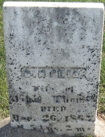 THOME, CINTHIA - Cedar County, Iowa | CINTHIA THOME 