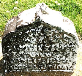 VANZANDT, MYRTLE - Cedar County, Iowa | MYRTLE VANZANDT 