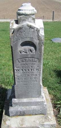 WALLICK, VERNIE - Cedar County, Iowa | VERNIE WALLICK 