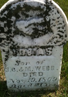 WEBB, TOBIAS - Cedar County, Iowa | TOBIAS WEBB 