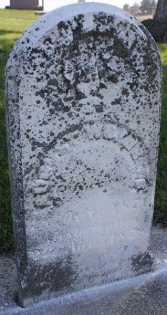 WEIBELS, AUGUST - Cedar County, Iowa | AUGUST WEIBELS 