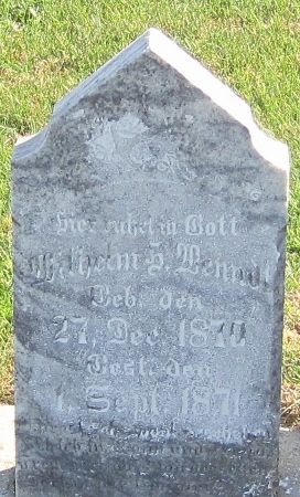 WENNDT, WILHELM H. - Cedar County, Iowa | WILHELM H. WENNDT 