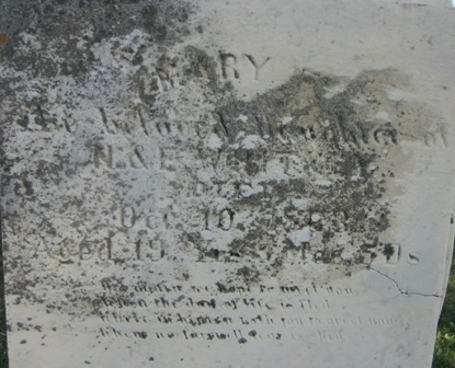 WHITNEY, MARY - Cedar County, Iowa | MARY WHITNEY 