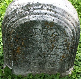 WINN, WALTER T. - Cedar County, Iowa | WALTER T. WINN 