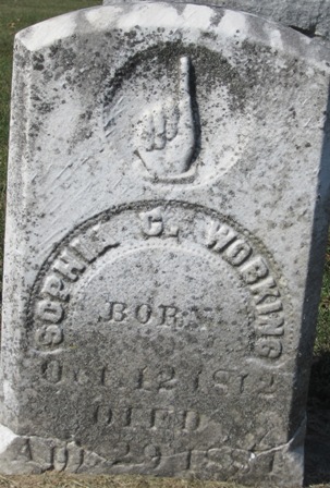 WOBKING, SOPHIA G. - Cedar County, Iowa | SOPHIA G. WOBKING 