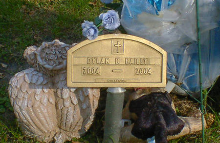 BAILEY, DYLAN D. - Cerro Gordo County, Iowa | DYLAN D. BAILEY 