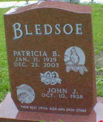 BLEDSOE, JOHN JUNIOR - Cerro Gordo County, Iowa | JOHN JUNIOR BLEDSOE 