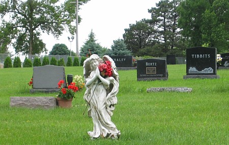 CLEAR LAKE, CEMETERY - Cerro Gordo County, Iowa | CEMETERY CLEAR LAKE 