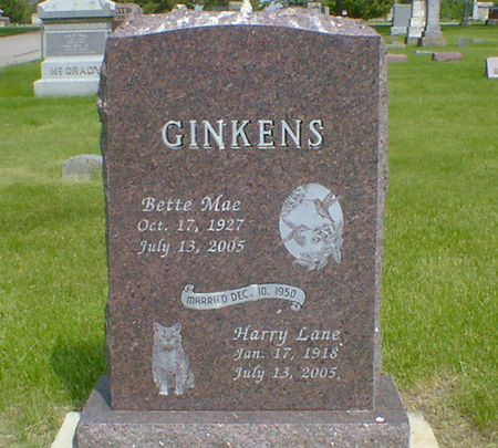 GINKINS, HARRY LANE - Cerro Gordo County, Iowa | HARRY LANE GINKINS 