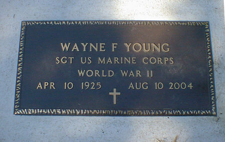 YOUNG, WAYNE F. - Cerro Gordo County, Iowa | WAYNE F. YOUNG 