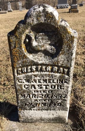 CASTOR, CHESTER RAY - Clarke County, Iowa | CHESTER RAY CASTOR 