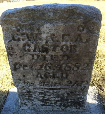 CASTOR, CLARA LAURA - Clarke County, Iowa | CLARA LAURA CASTOR 