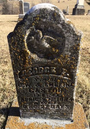 CASTOR, GEORGE F. - Clarke County, Iowa | GEORGE F. CASTOR 