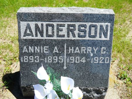 ANDERSON, HARRY C. - Clay County, Iowa | HARRY C. ANDERSON 