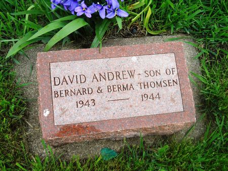 THOMSEN, DAVID ANDREW - Clay County, Iowa | DAVID ANDREW THOMSEN 