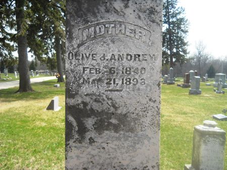 ANDREW, OLIVE J. - Clay County, Iowa | OLIVE J. ANDREW 