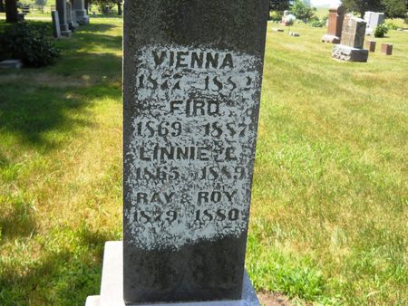 BRACE, VIENNA - Clay County, Iowa | VIENNA BRACE 