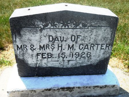 CARTER, DAUGHTER - Clay County, Iowa | DAUGHTER CARTER 