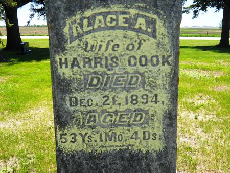 COOK, ALACE A. - Clay County, Iowa | ALACE A. COOK 