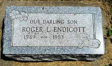 ENDICOTT, ROGER L. - Clay County, Iowa | ROGER L. ENDICOTT 