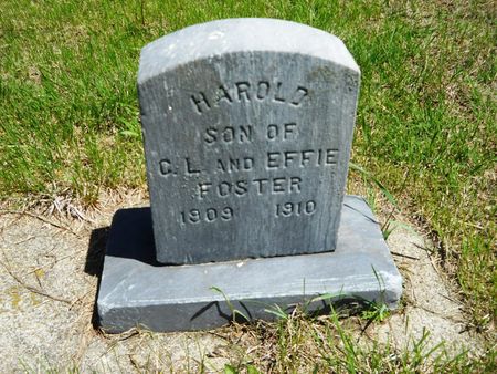 FOSTER, HAROLD - Clay County, Iowa | HAROLD FOSTER 