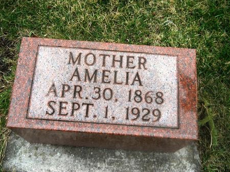 SCHARNBERG, AMELIA - Clay County, Iowa | AMELIA SCHARNBERG 