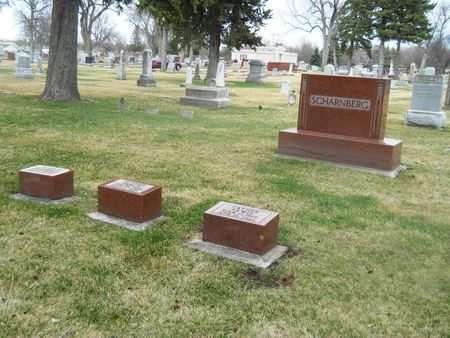 SCHARNBERG, FAMILY PLOT - Clay County, Iowa | FAMILY PLOT SCHARNBERG 